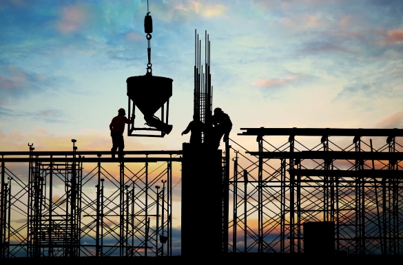 DEX Timber Solutions About Us